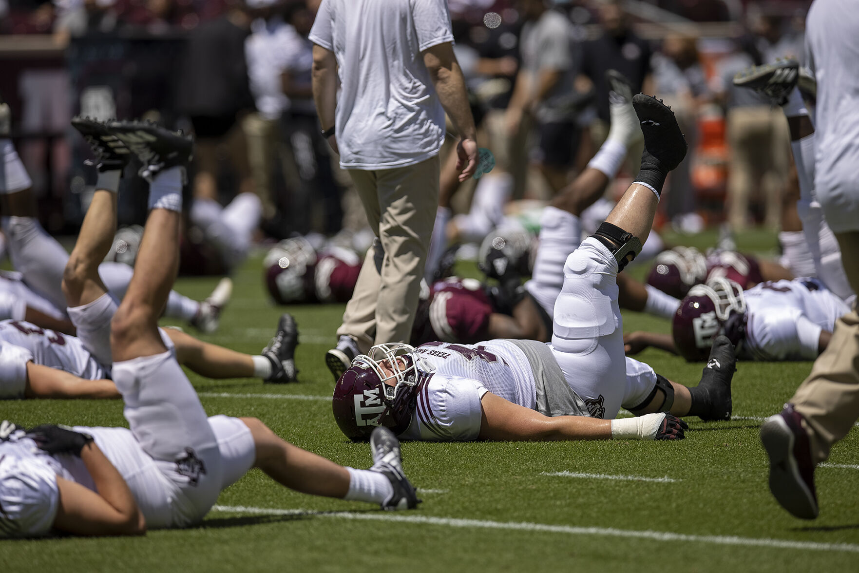 Maroon & White